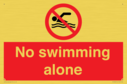 no-swimming-alone-prohibition-sign~
